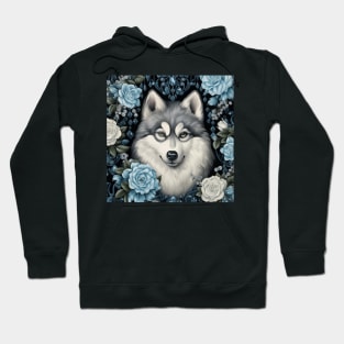 Rosy Pomsky Hoodie